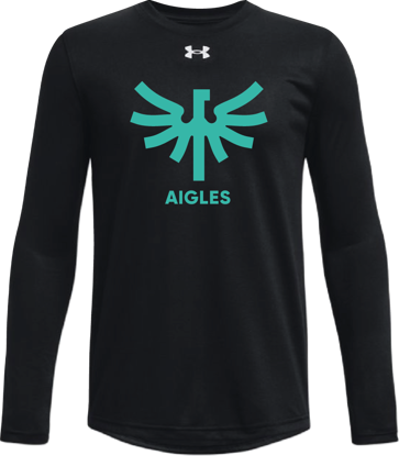 Image de Chandail manches longues Under Armour - Homme